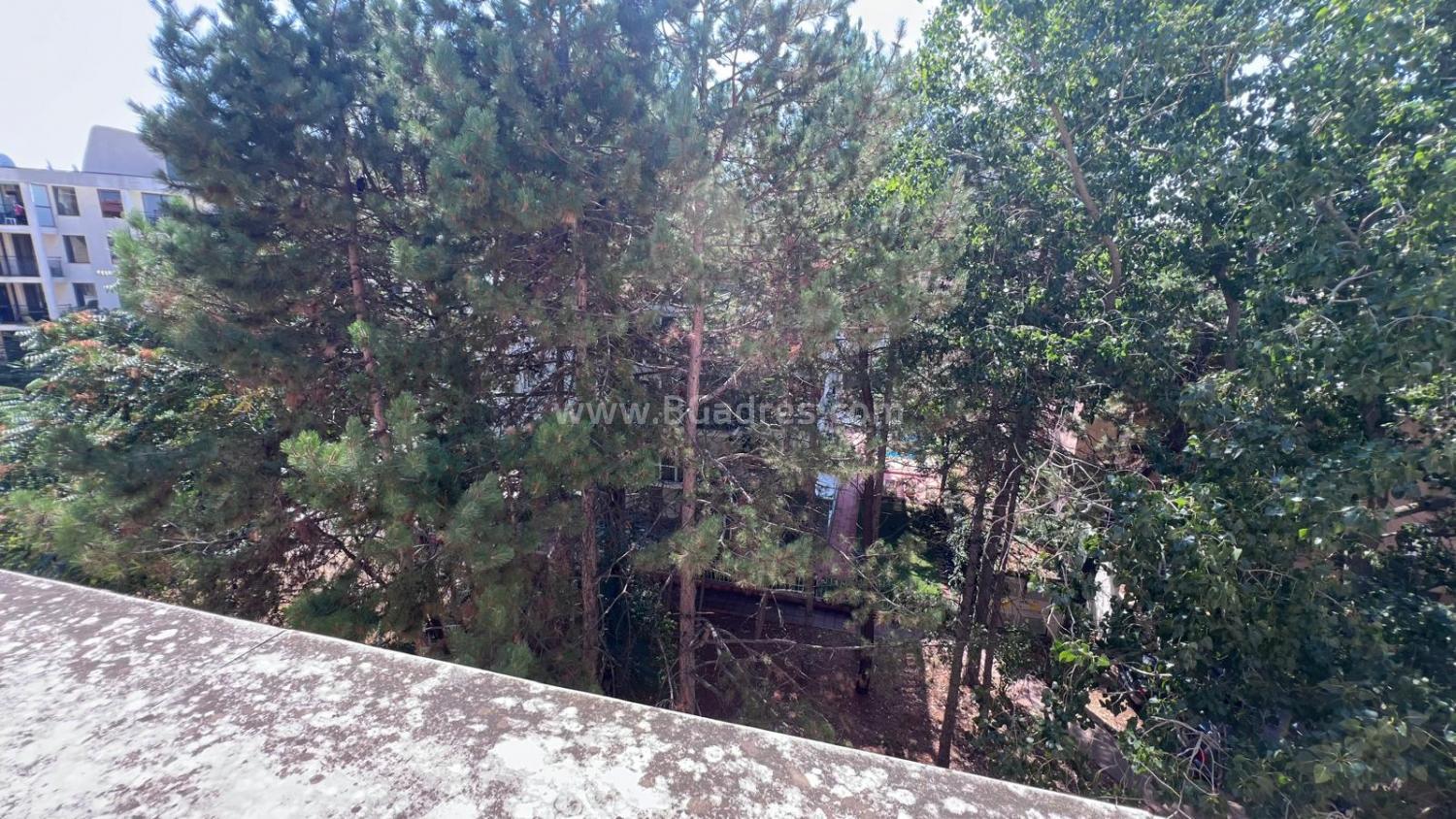 Studio in the Royal Sun complex І №3886