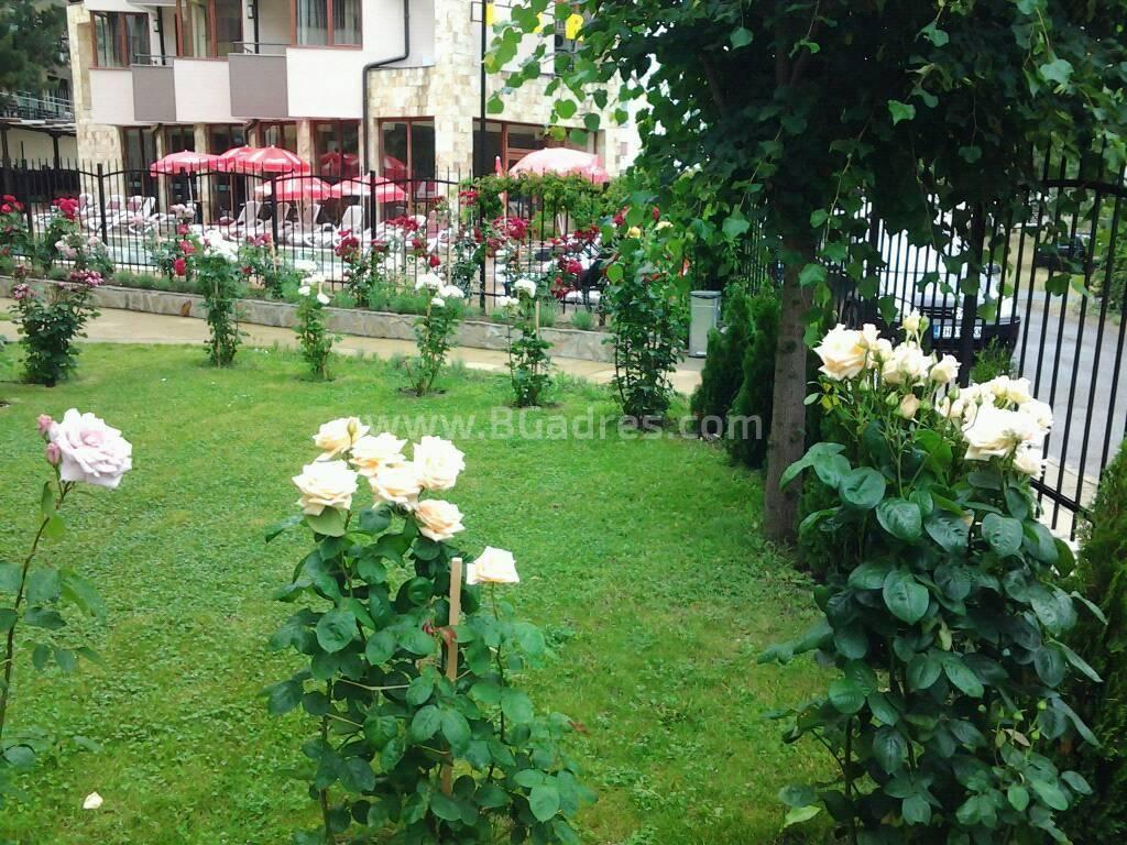 Large studio with low maintenance fee І №3252