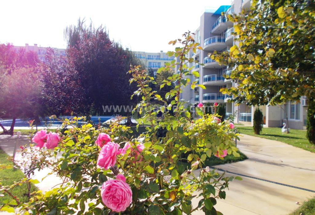 Недорогая квартира на первой линии | №2269