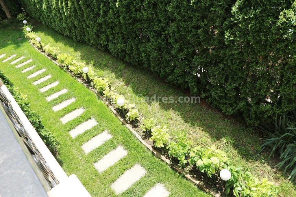 Buy an inexpensive apartment with 1-bedroom | №2319