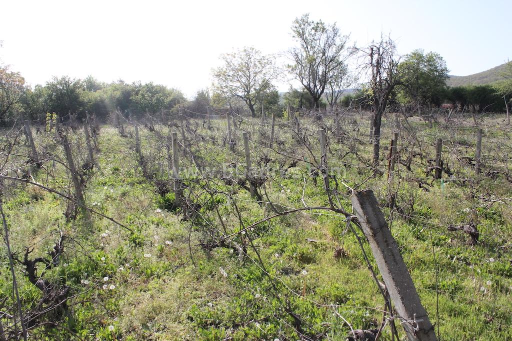 Купи евтина къща с двор в близост до брега на морето