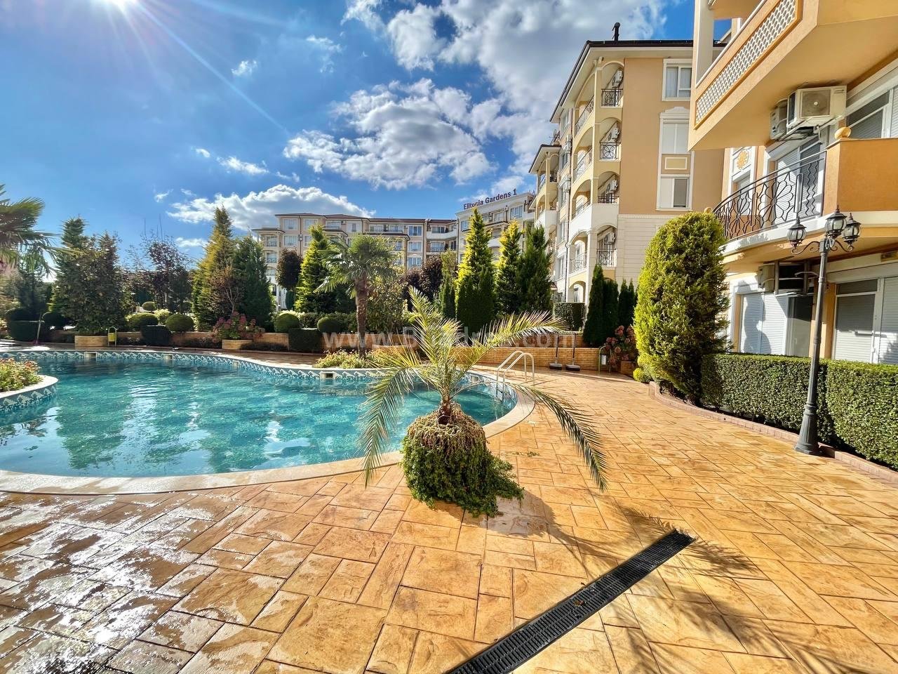 Studio in Elitonia Gardens I №2650