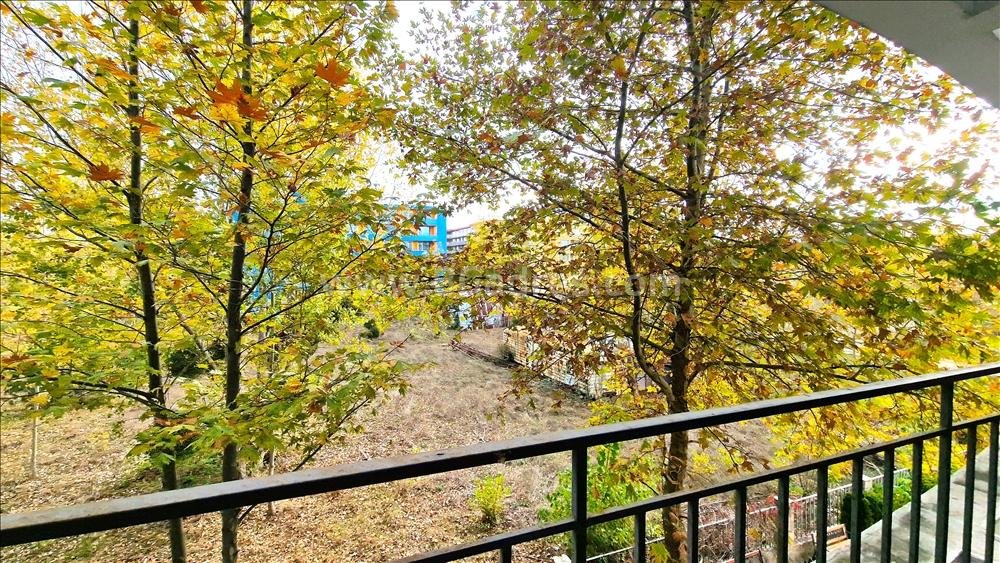 Недорогая студия на Солнечном Берегу І №3413