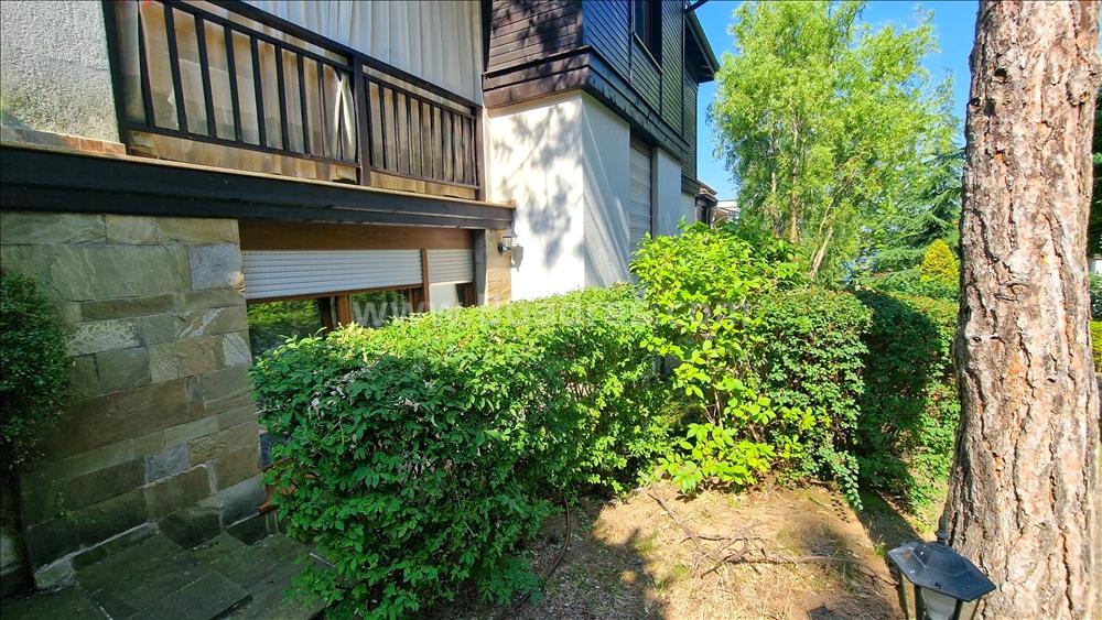 Studio in Santa Marina at a bargain price І №3069