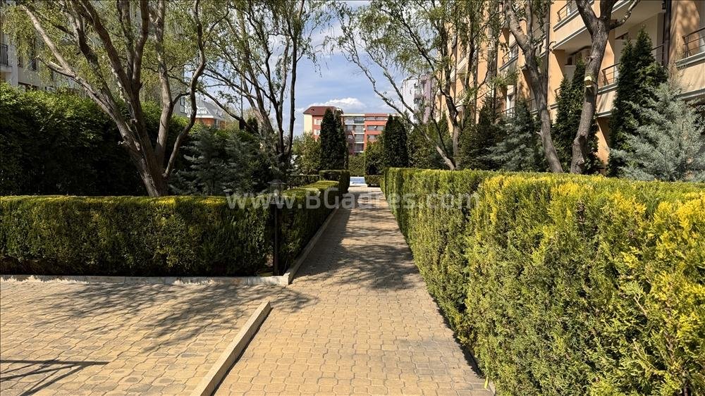 Недорогая студия на Солнечном Берегу І №3544