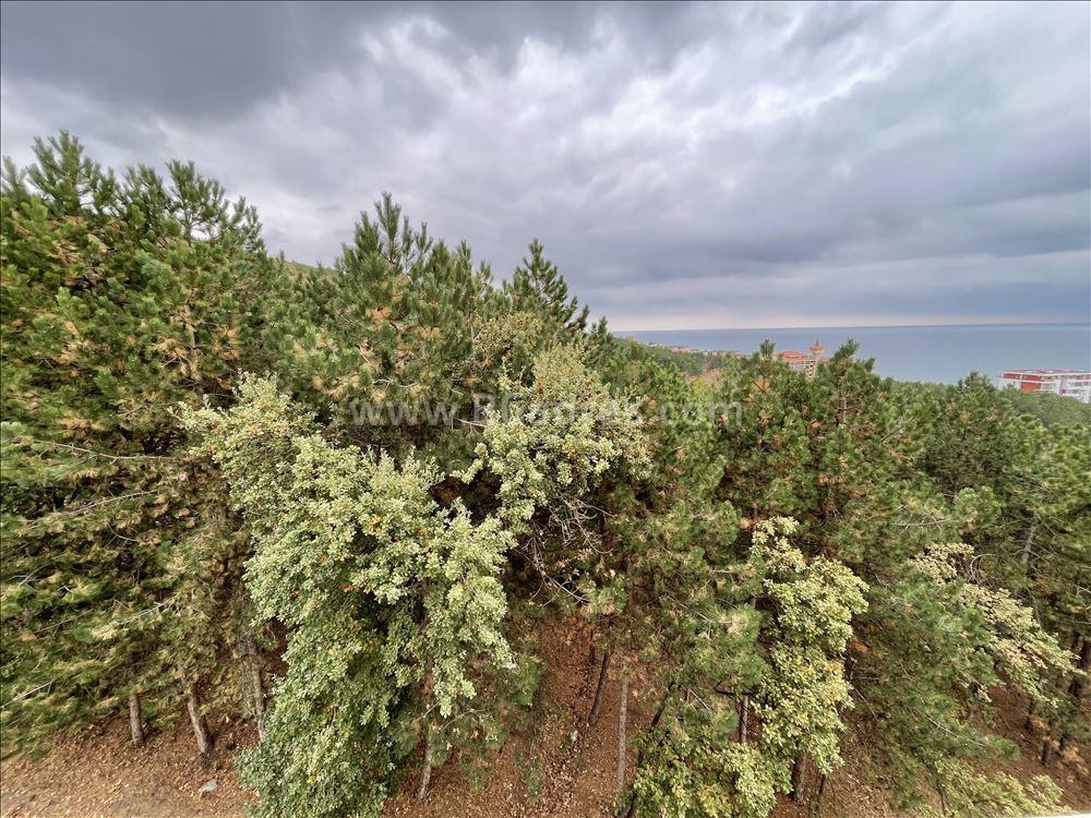 Wohnung mit Meerblick in Sveti Vlas І №2819