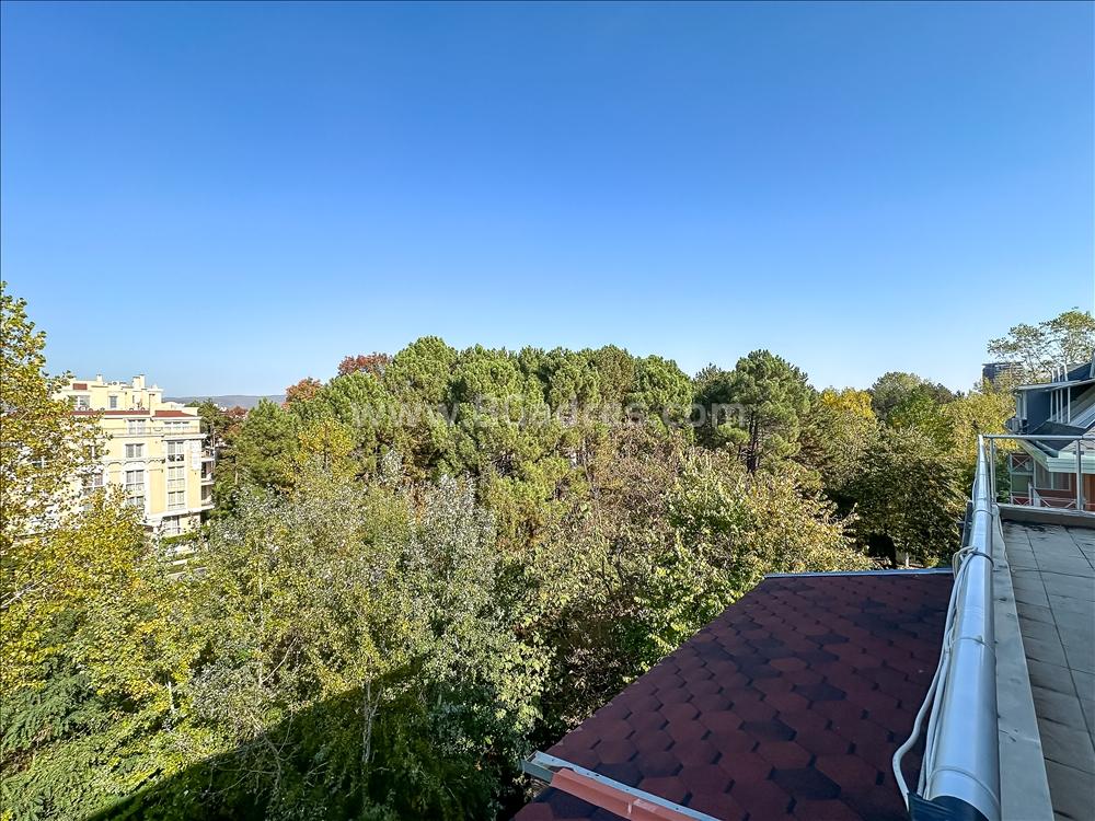 Large studio on the seaside І №3261