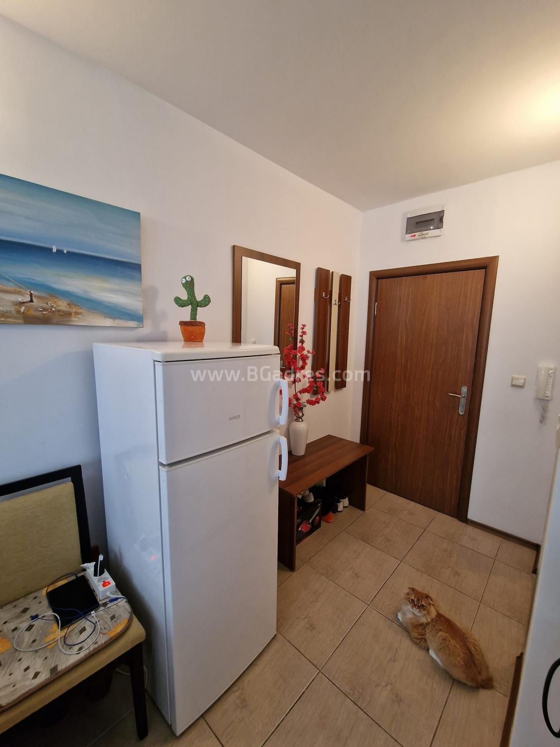 Cheap studio in Sunny Beach І №3040