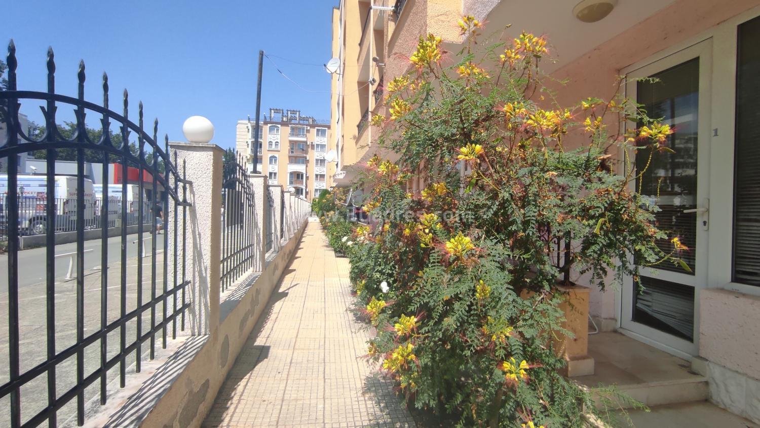 Евтино студио в центъра на Слънчев Бряг I №2453