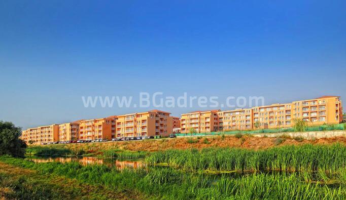 Billiges Studio in in Sunny Day 6 | No. 2022