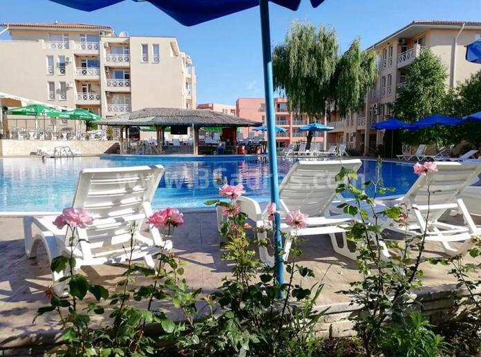 Billiges Studio in in Sunny Day 6 | No. 2022