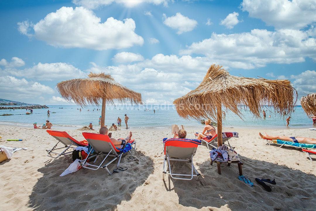 Studio with new furniture in Elenite І №3187