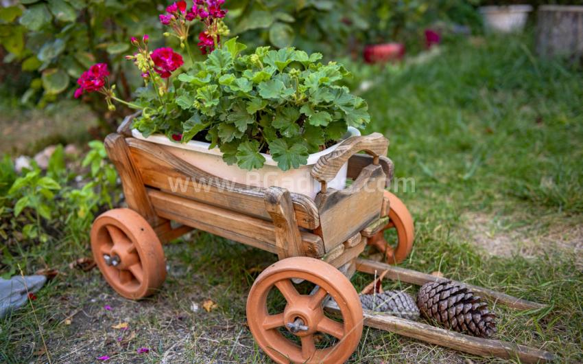 Studio in the Sunny Day 6 complex І №4533