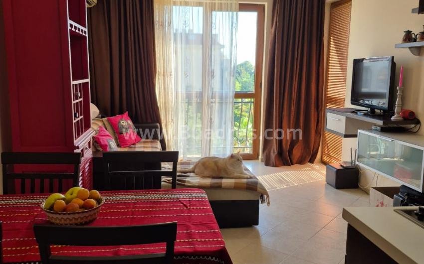 Apartment in the Cascadas complex І №4305