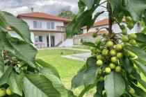 House with a swimming pool in Goritsa І №3612